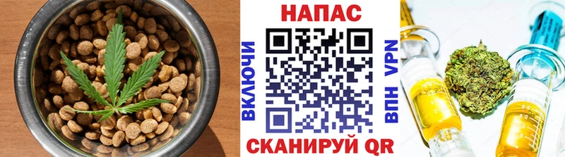 Canna-Cookies конопля  закладка  hydra онион  Георгиевск 