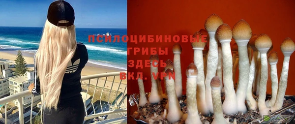 трава Михайлов