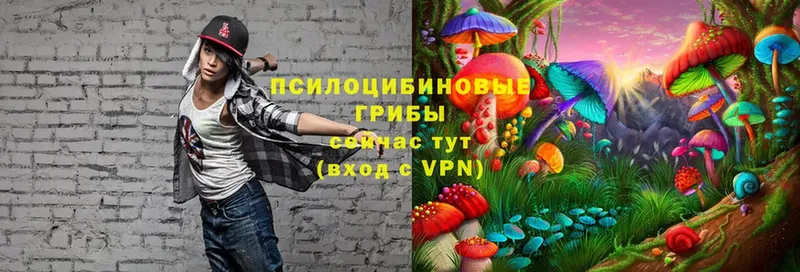 Псилоцибиновые грибы MAGIC MUSHROOMS  MEGA как зайти  Георгиевск 