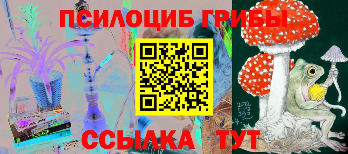 Георгиевск  Псилоцибиновые грибы MAGIC MUSHROOMS  где купить   Вход с VPN  Псилоцибиновые грибы Magic Shrooms 