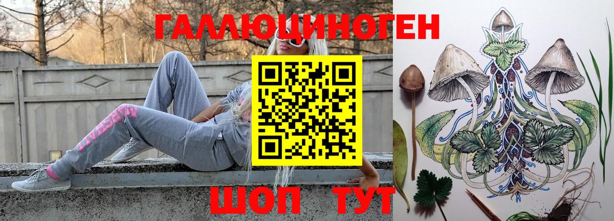Псилоцибиновые грибы Psilocybe Георгиевск